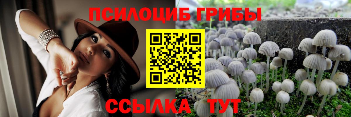 Галлюциногенные грибы прущие грибы  Вход с VPN  продажа наркотиков  Джанкой 